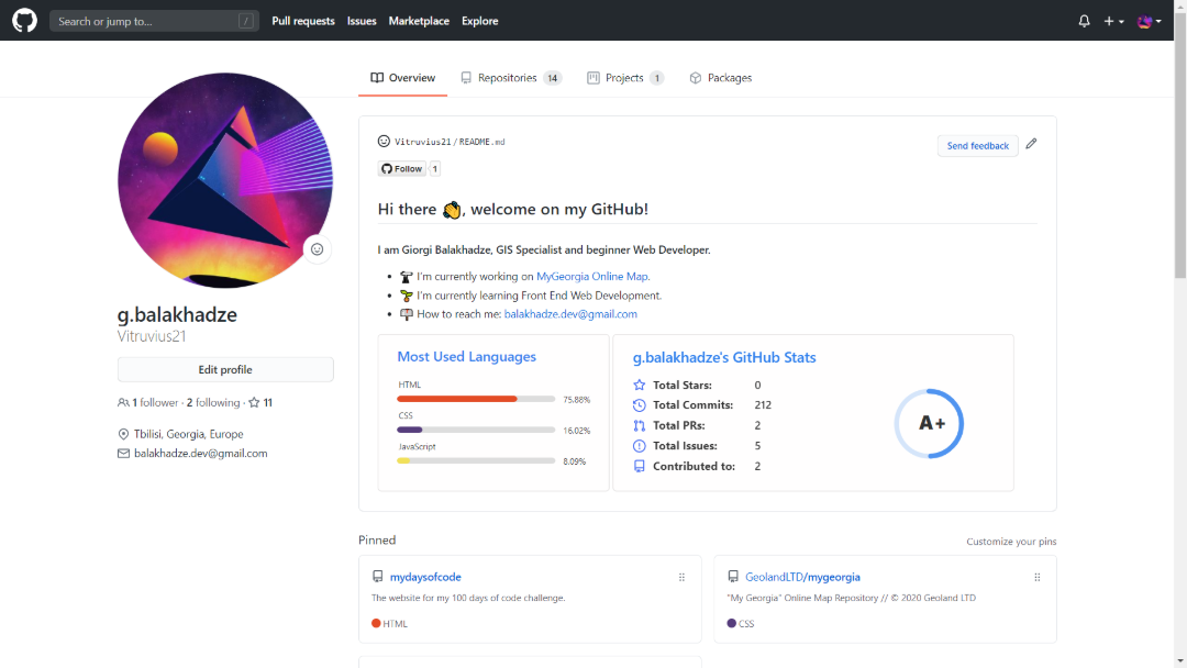 My GitHub profile page screenshot